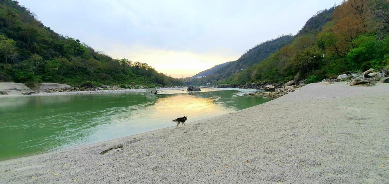 Divine Ganga Cottage Risikés Kültér fotó